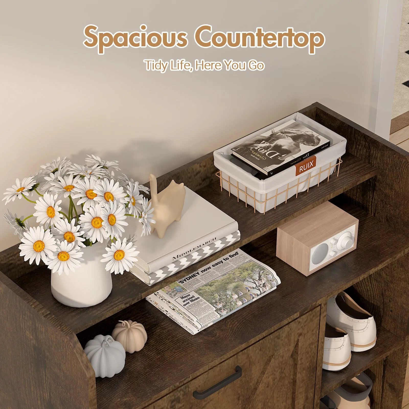 Advwin Shoe Storage Cabinet with 2 Flip Drawers