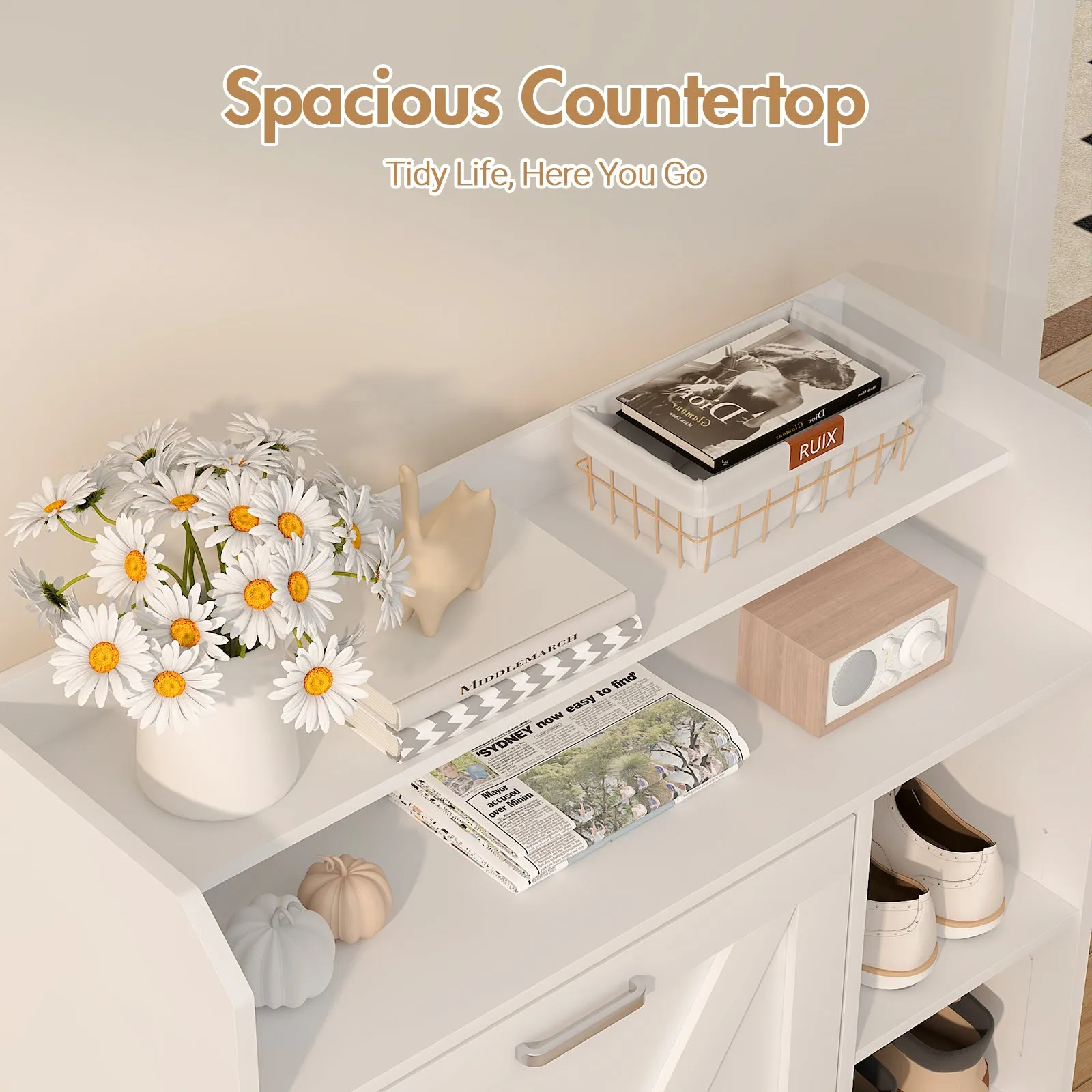 Advwin Shoe Storage Cabinet with 2 Flip Drawers