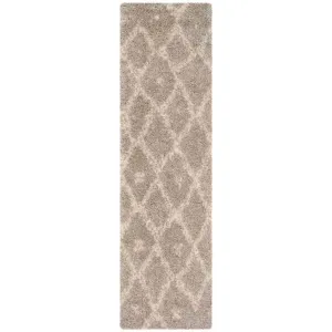 Arizona Shag Gray/Ivory Runner Rug