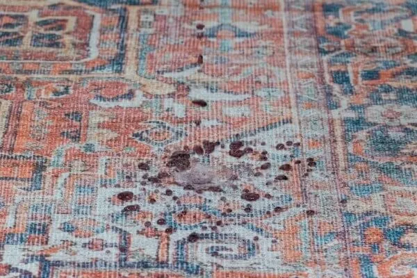 Aura Red Multi Washable Rug