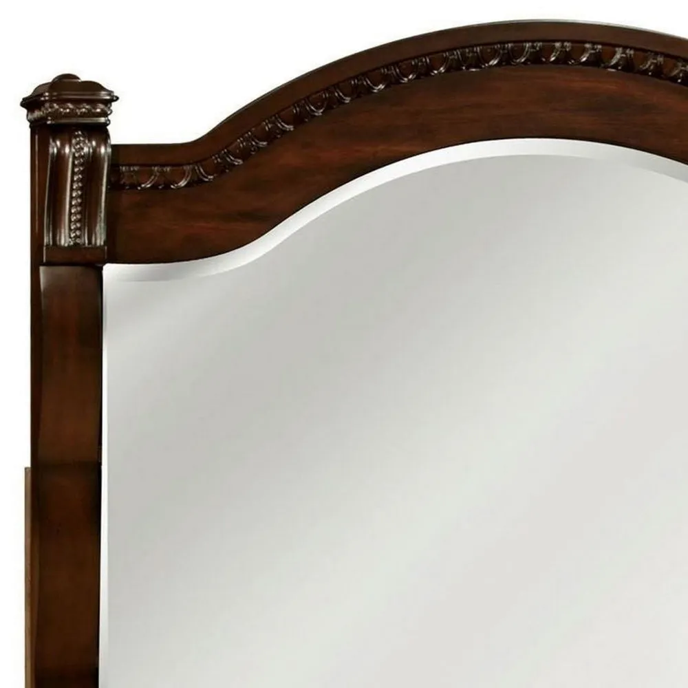 Burleigh Transitional Style Mirror , Cherry By Casagear Home
