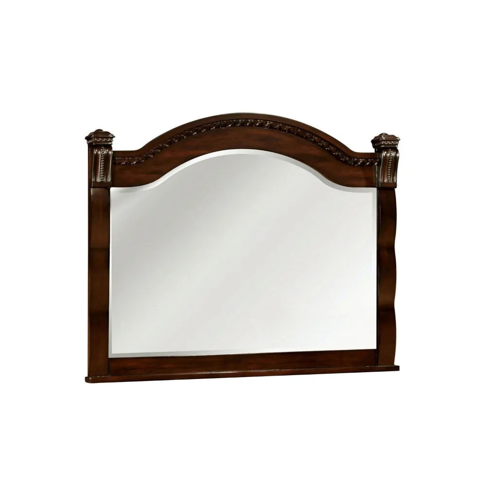 Burleigh Transitional Style Mirror , Cherry By Casagear Home