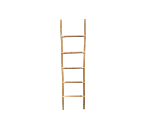Climb ladder