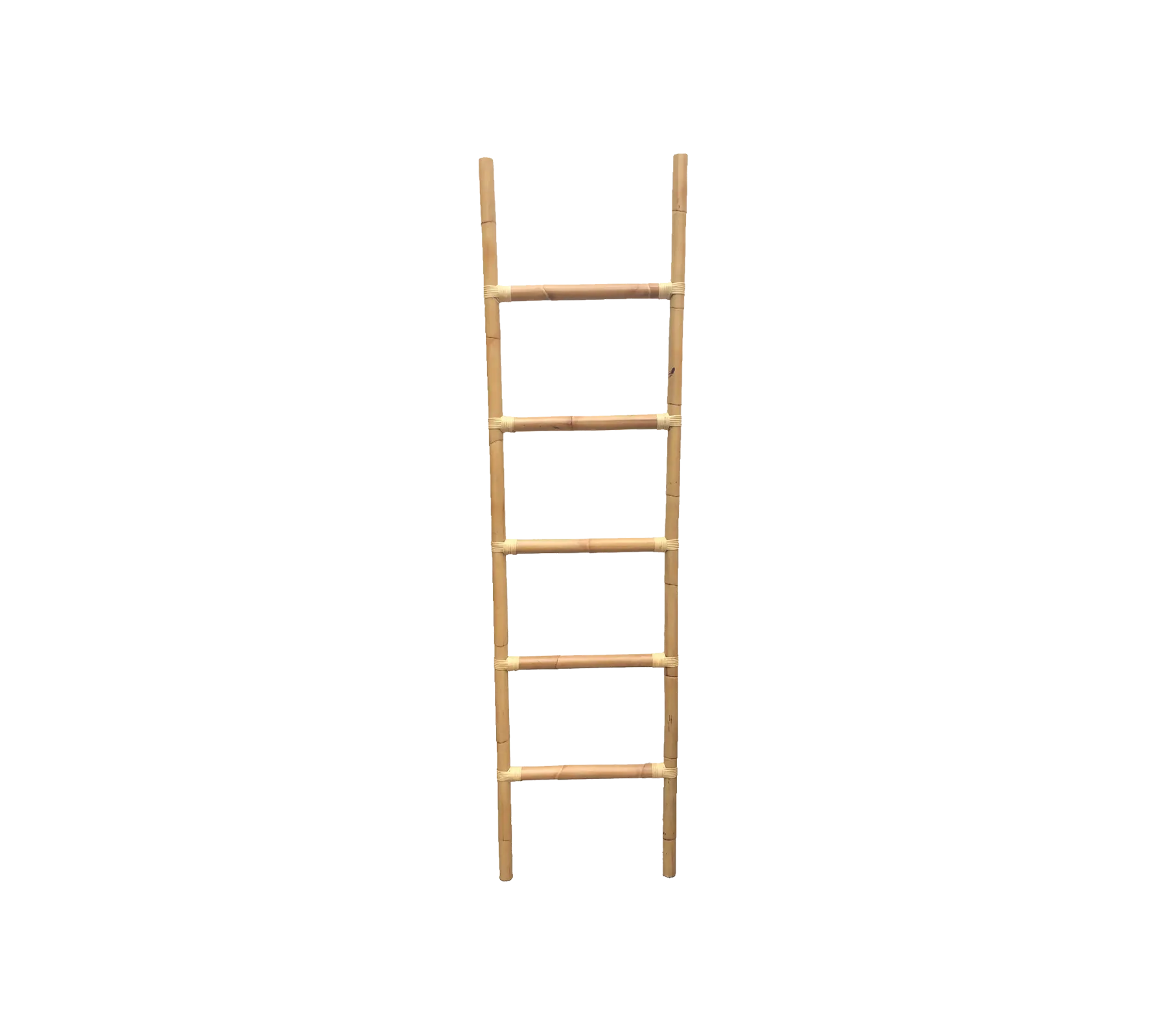 Climb ladder