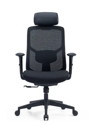 Ergonomic Office Chair with Adjustable Headrest and Lumbar Support