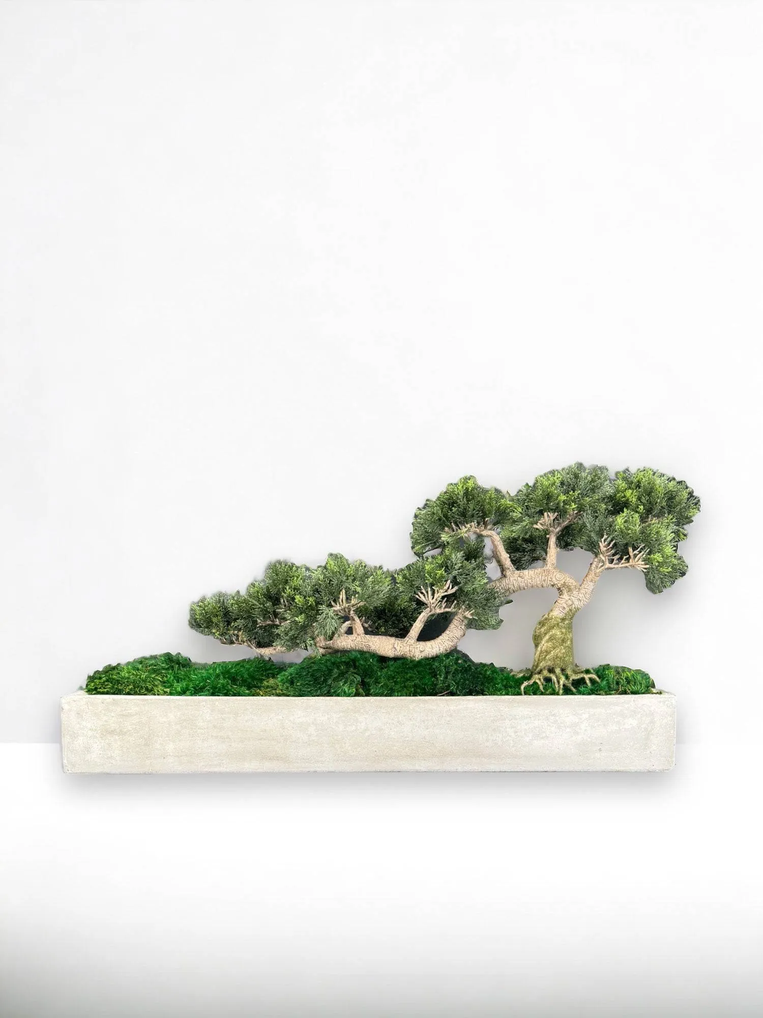 Faux Bonsai Tree in Concrete Planter with Preserved Moss