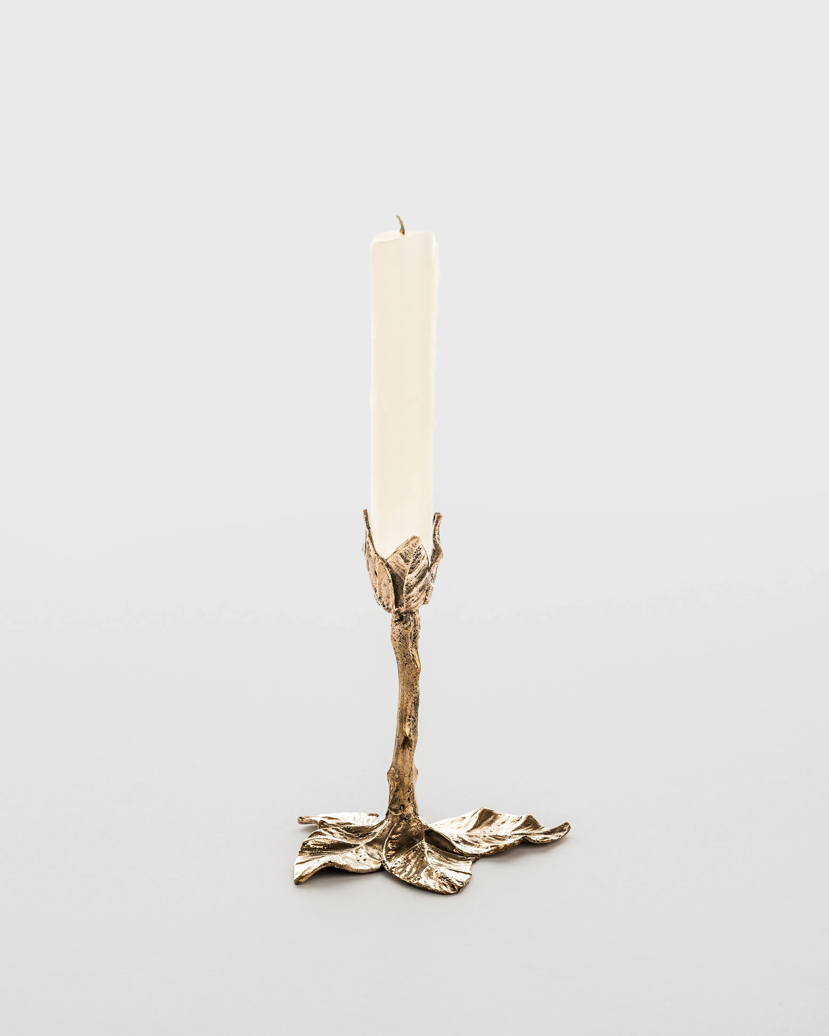 Foglie Bronze Candlestick by Osanna Visconti, Medium