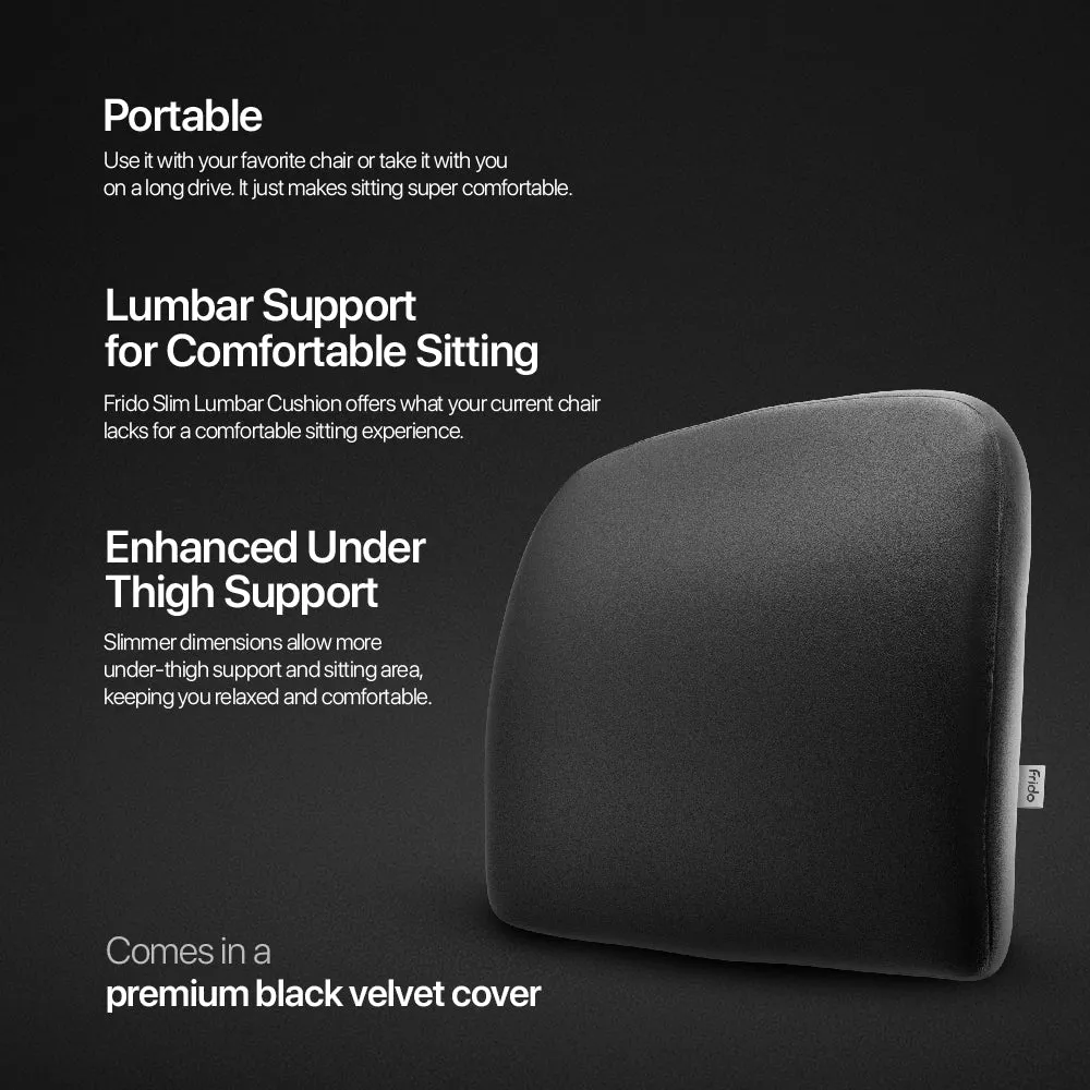 Frido Lumbar Back Support Cushion
