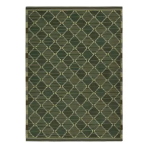 Green Swedish Flatweave Wool Rug - 10'1" x 13'9"