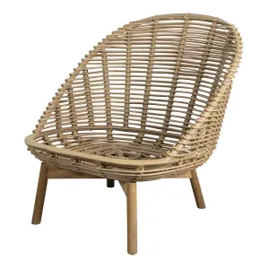 Hive Lounge Chair