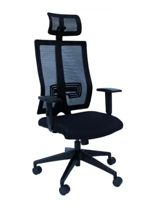 Improve Posture and Productivity | Adjustable Support | Breathable Design