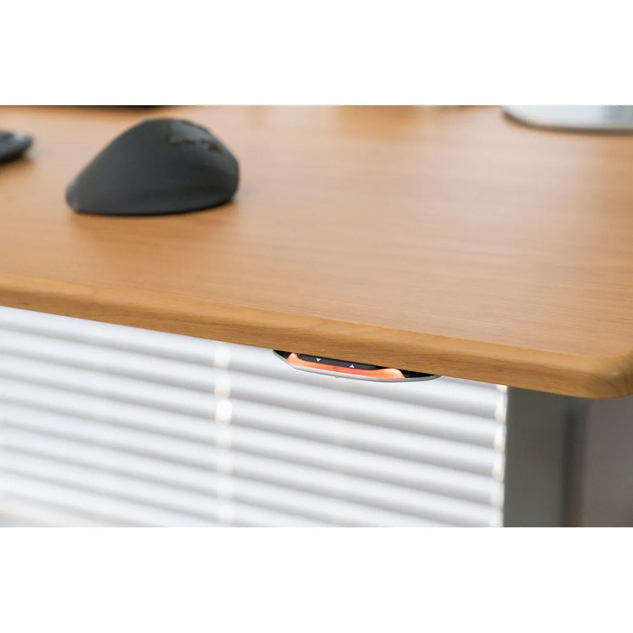 Jaxson Standing Desk