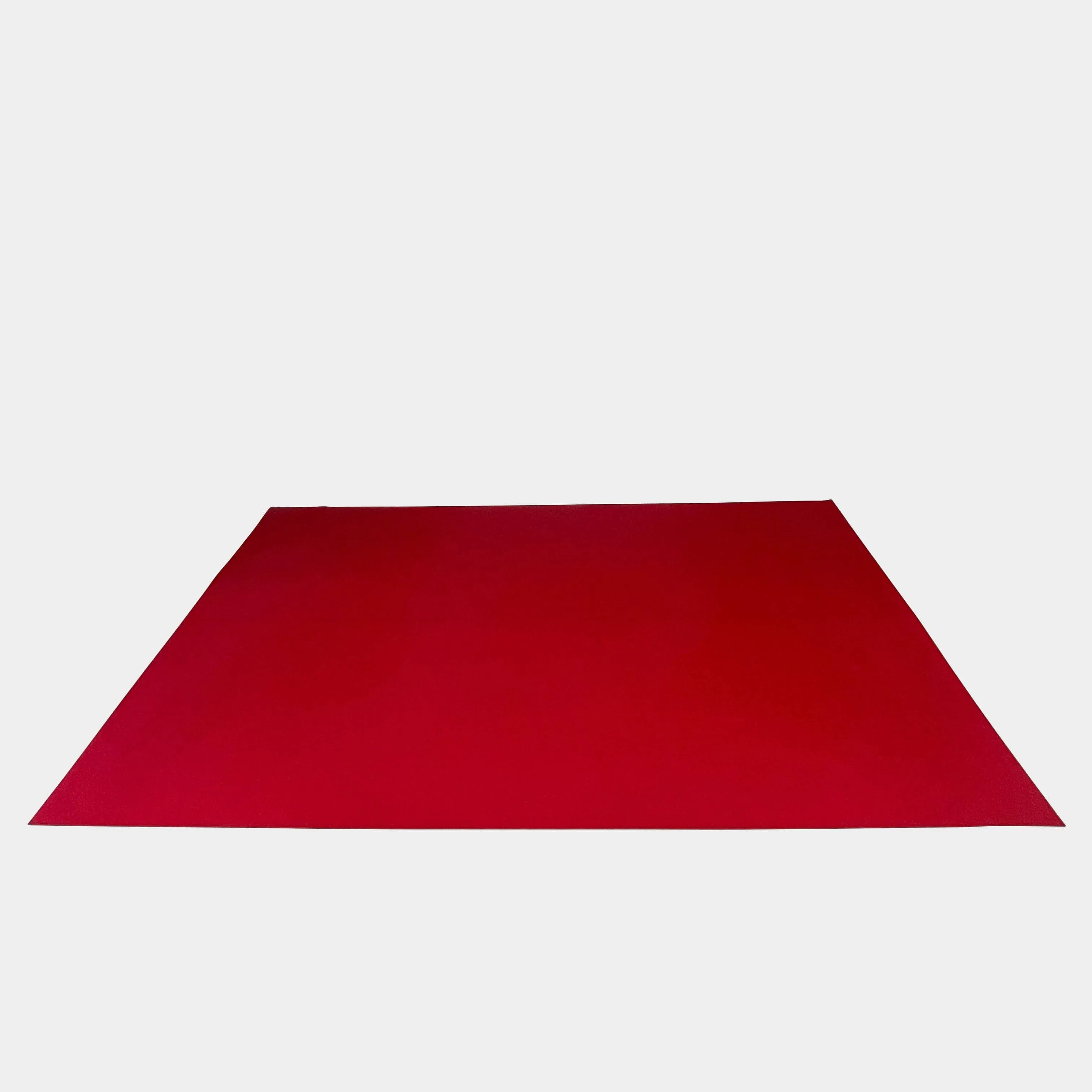 Large Felt Rug
