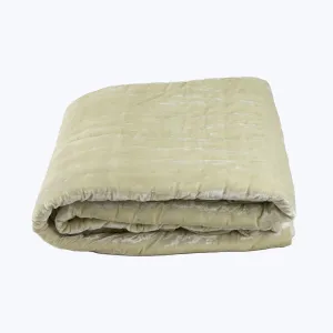 Luminous Velvet Throw