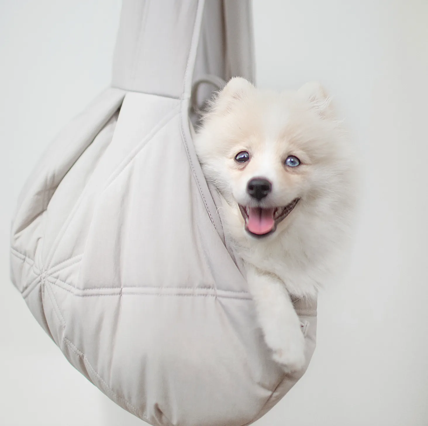 Olla Carrycot