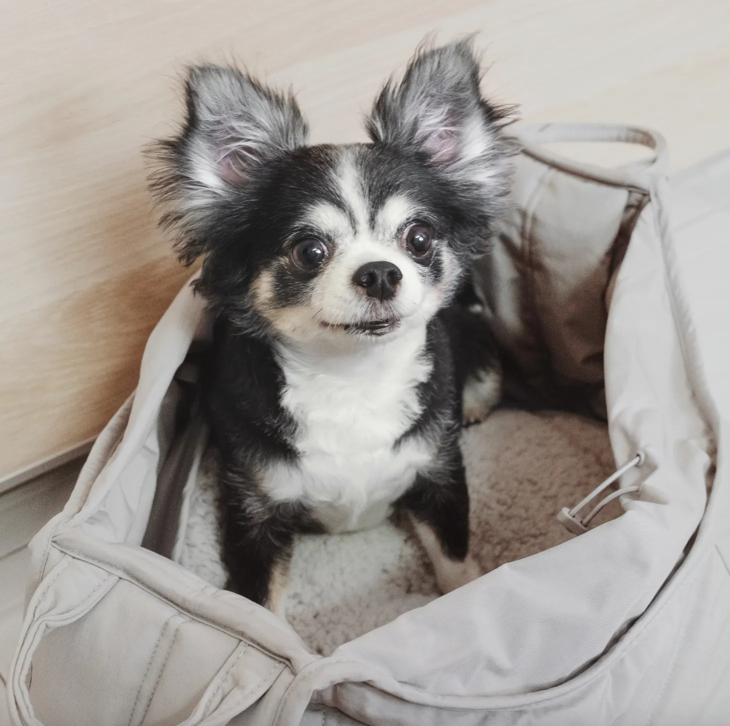 Olla Carrycot