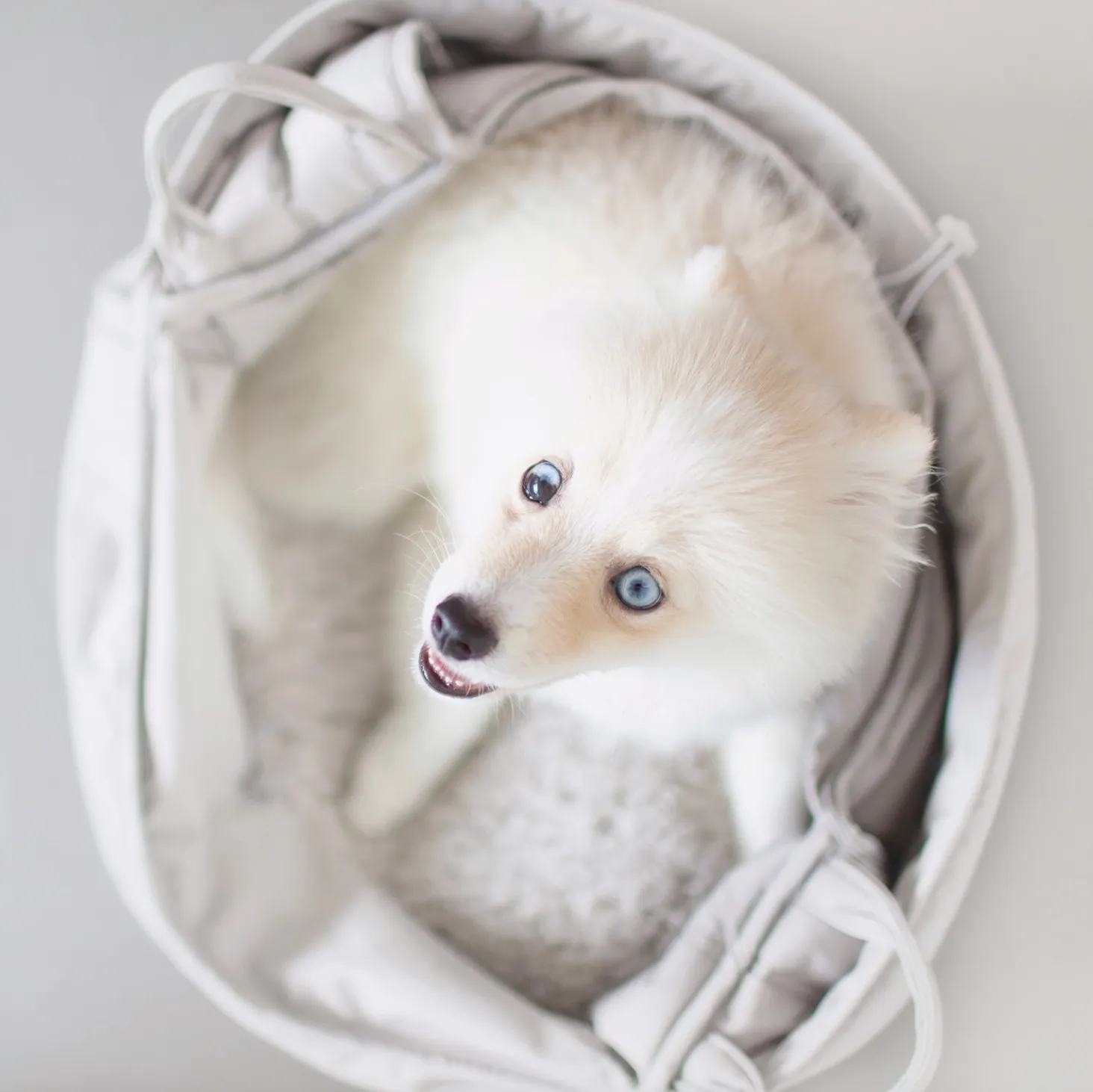 Olla Carrycot