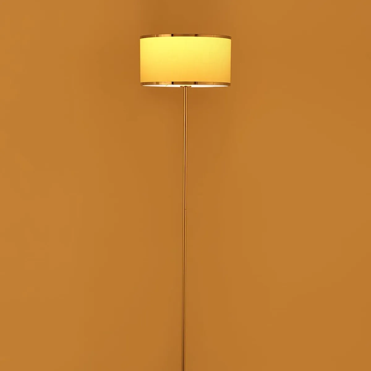 Philips Striker Floor lamp