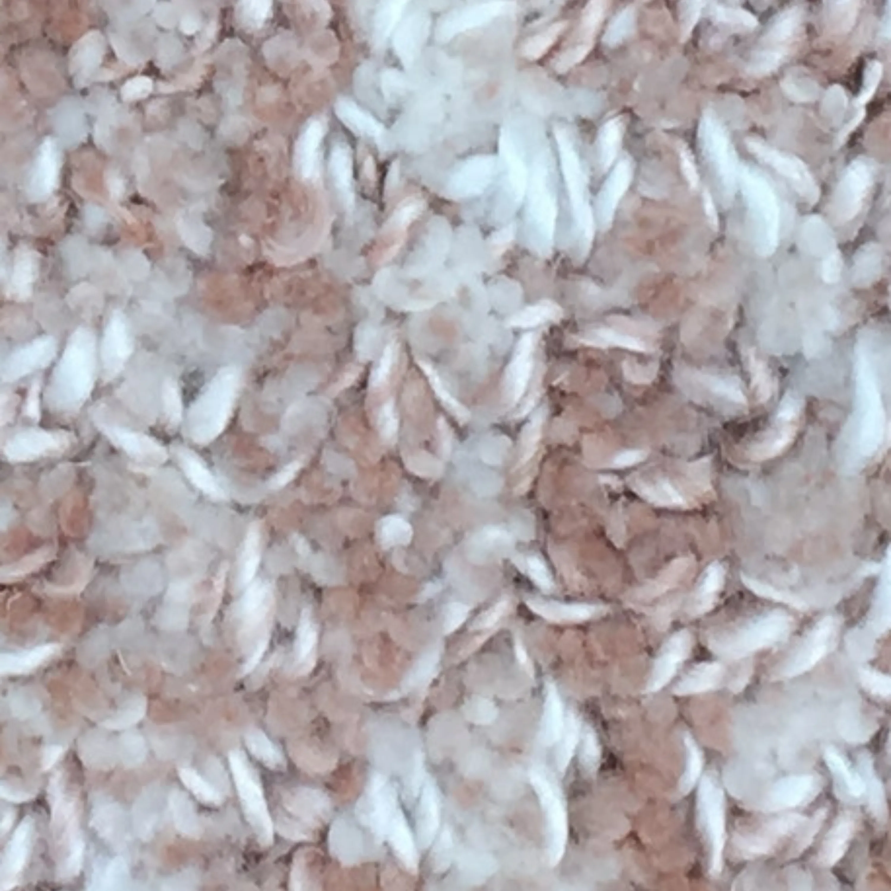 Quarry Rug - Blush 160cm x 230cm