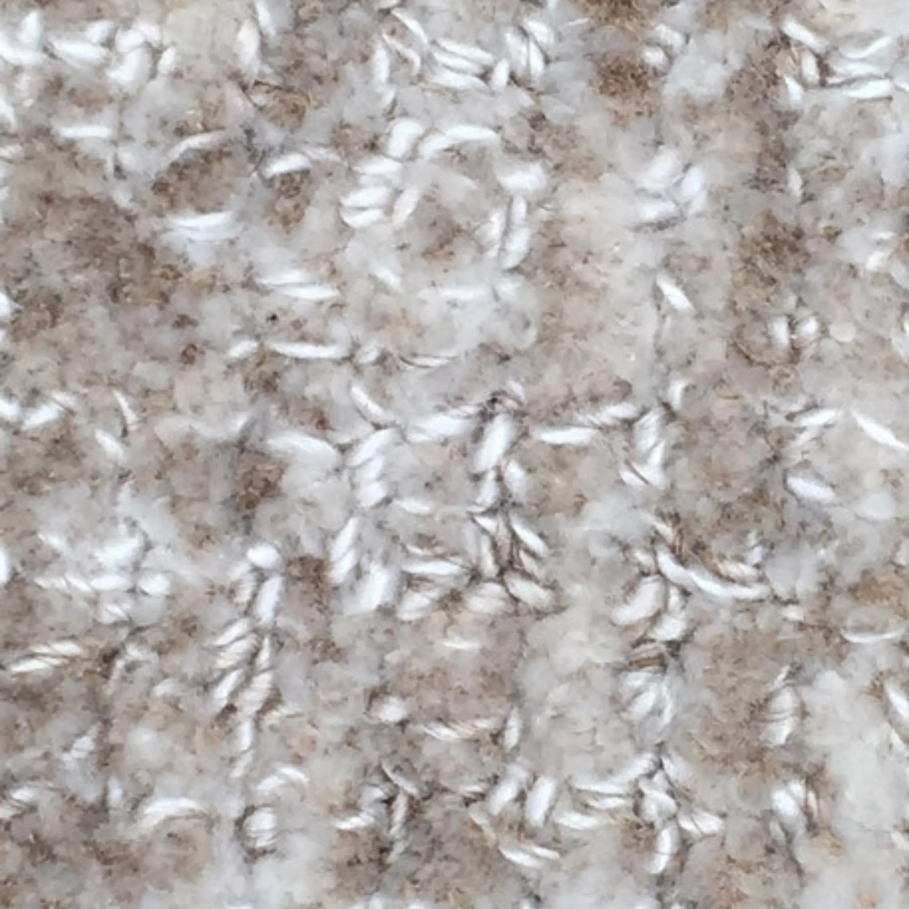 Quarry Rug - Sesame Seed 200cm x 300cm