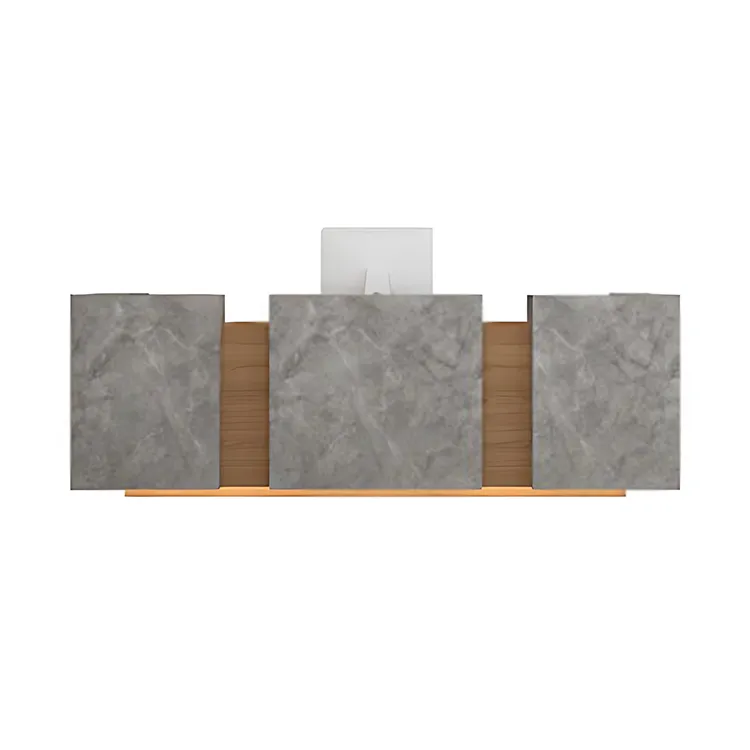 Sleek Minimalist Reception Desk with Dual Desktop Design