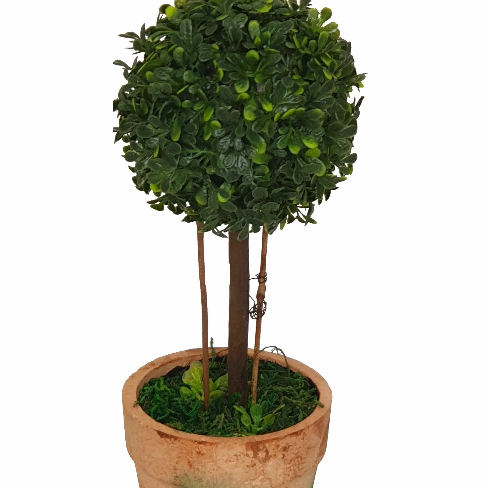 Topiary Ball 20cm Artificial Plant In Terracotta-Look Pot by Criterion