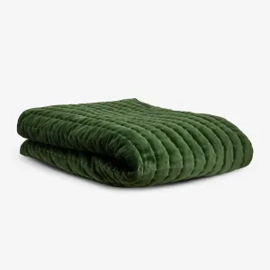 Velvet Quilted Throw (Green)