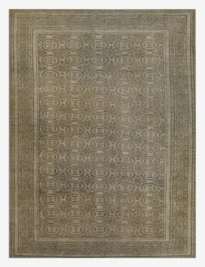 Warren Rug by Erin Gates