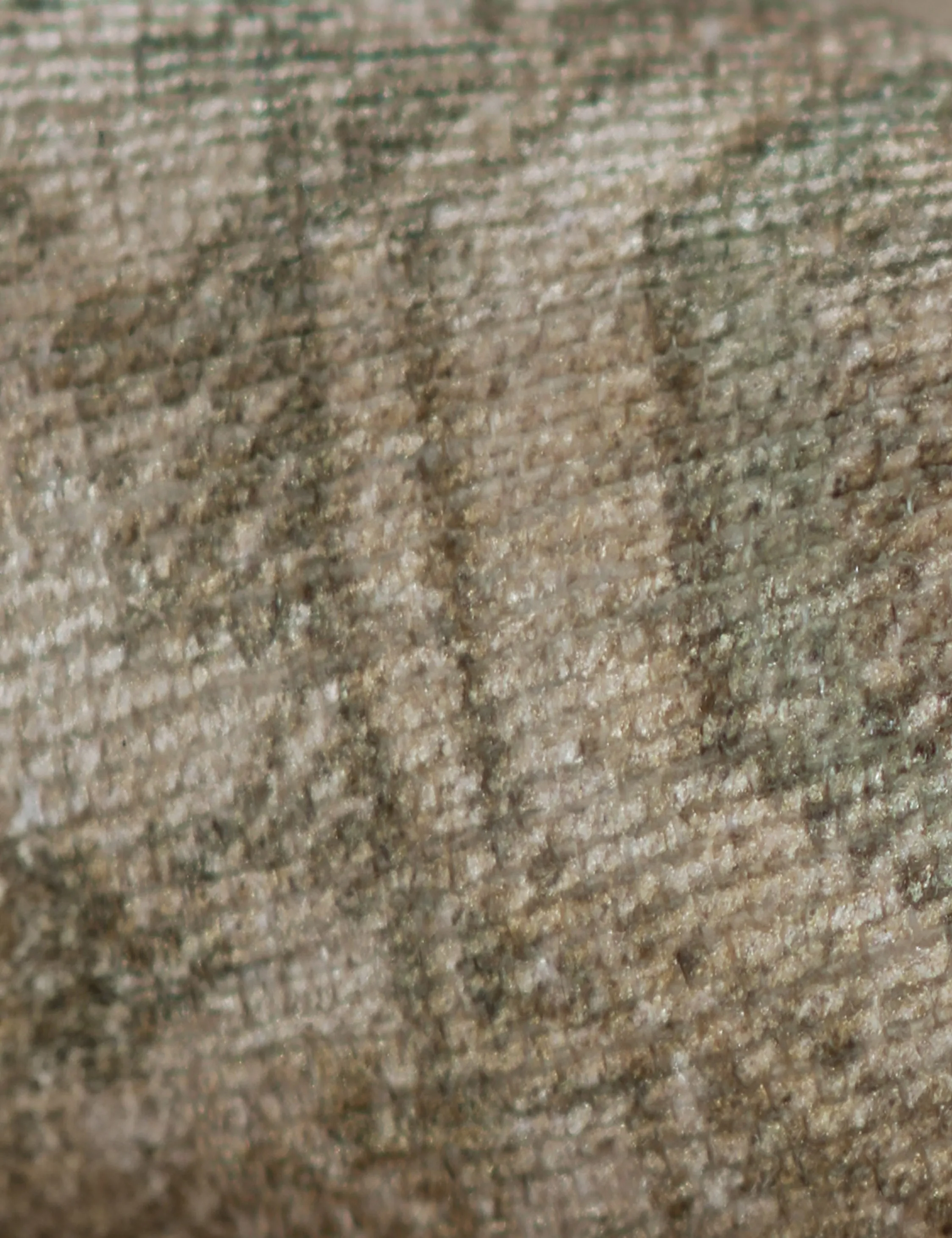 Warren Rug by Erin Gates